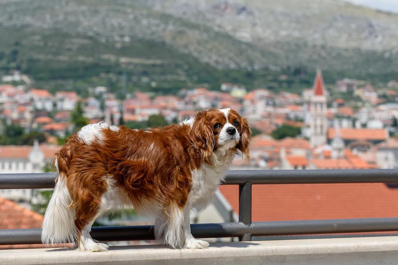 Apartments Kudelik Trogir
